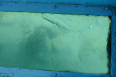 St. Thomas Glass-Bottom Boat